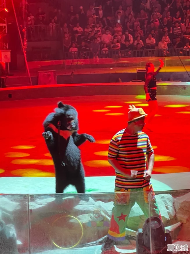网友热议:疯狂动物园嬉皮河马'Hip Hop'掀起的嬉皮士巡回演出盛况 网友热议:疯狂动物园嬉皮河马'Hip Hop'掀起的嬉皮士巡回演出盛况