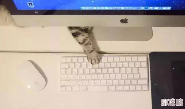 白猫计划实用小技巧大盘点，网友热评的高效玩法秘籍！