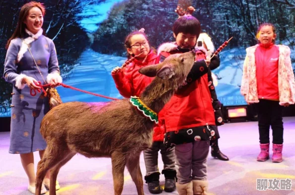 御龙在天手游攻略：网友亲测提高答题正确率的有效方法分享