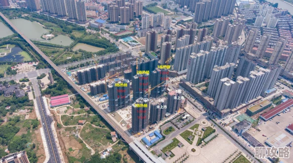 网友热议：传奇世界手游深度评测与真实体验分享