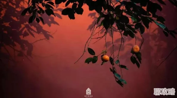 2025奇迹暖暖芳摇落套装全属性详解及部件高效获取攻略 2025奇迹暖暖芳摇落套装全属性详解及部件高效获取攻略