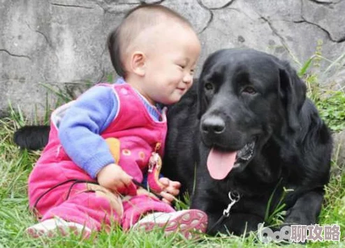 2025年梦幻西游手游寻回爱心活动最新打法策略与热门攻略详解 2025年梦幻西游手游寻回爱心活动最新打法策略与热门攻略详解