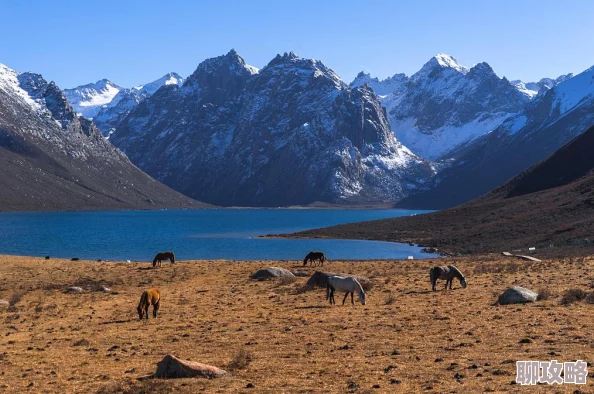 2025年偶像梦幻祭高效速通角色故事全解析 2025年偶像梦幻祭高效速通角色故事全解析