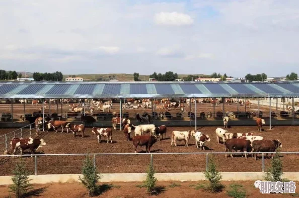 2025年热门游戏指南：堡垒之夜司机休息站全新位置与玩法攻略