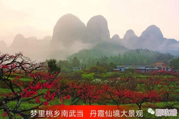 2025年剑侠情缘手游武当门派克制桃花流派高级技巧 2025年剑侠情缘手游武当门派克制桃花流派高级技巧